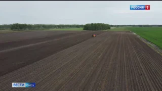 В 2025 году уборочная кампания в Омской области вновь проходит в непростых условиях
