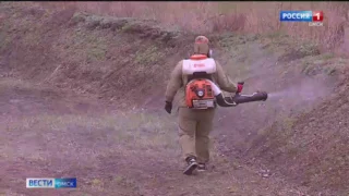 В Омске проведут осеннюю обработку от клещей