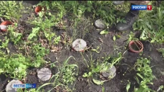 Омские учёные разработали уникальную методику повышения плодородности почвы