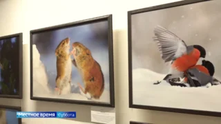 В Омском музее просвещения открылась персональная выставка фотографа-анималиста Виктора Тяхта