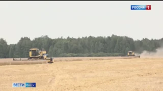 Омские аграрии в 2025 году планируют собрать не менее 3 миллионов тонн зерна