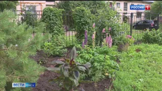 В Омске назовут победителей конкурса благоустройства территорий «Омские улицы»