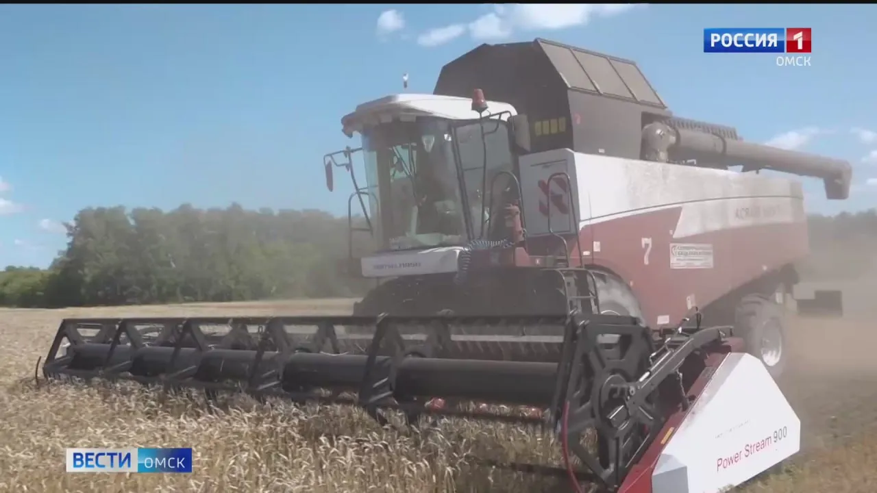 В Омской области аграрии наращивают темпы уборки и расширяют площади озимых