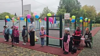 Какие идеи востребованы среди омичей в рамках конкурса проектов инициативного бюджетирования