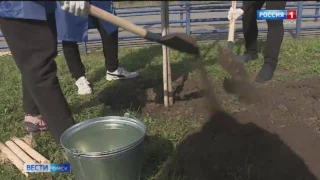 В Омской области начинается осенняя уборка территорий