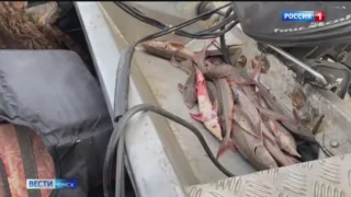 В сентябре в Омске начнётся особый сезон для браконьеров