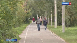 Частая смена видов деятельности спасает от хронических стрессов, которые губительны для здоровья