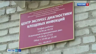 В Омске вновь активизировались клещи