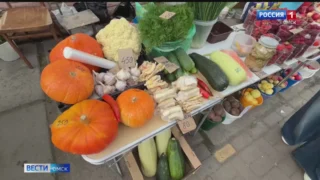 В Омске небывалый урожай кабачков