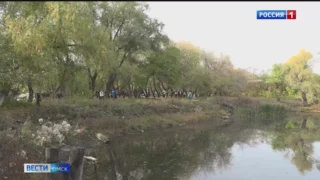 В Омске 4 октября пройдёт осенний общегородской субботник