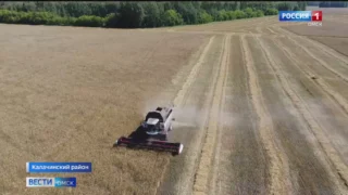 Омская область идет на очередной рекорд по уборке урожая
