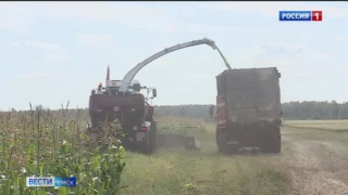 Омские аграрии ставят рекорды