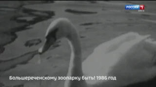 Новый телевизионный сезон ГТРК «Иртыш» начинает с новой рубрики «С первого кадра»