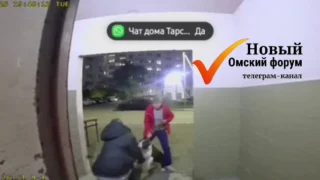Прокуратура Омска требует 300 тысяч рублей с владельца собаки, укусившей ребенка