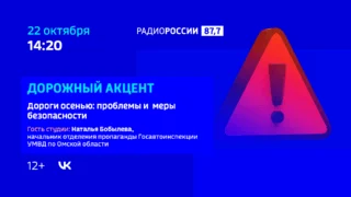 «Дорожный акцент. Дороги осенью»