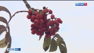 Омичи консервируют дачи на зиму