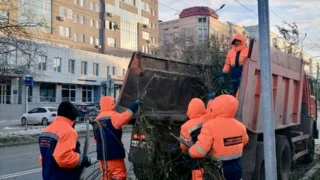 В Омске обновляют зеленые насаждения