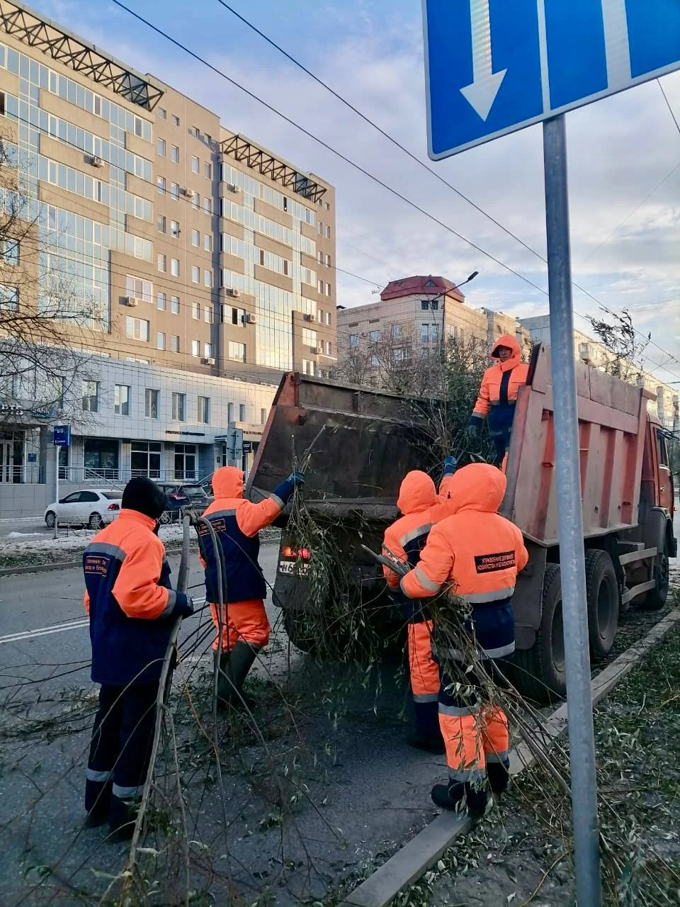 В Омске обновляют зеленые насаждения