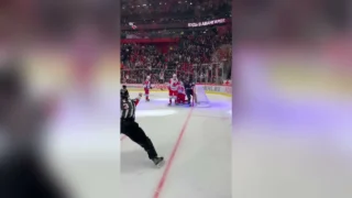 «Авангард» открыл счет в матче с «Локомотивом»