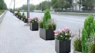 В Омске на улице Гагарина появится современное модульное озеленение