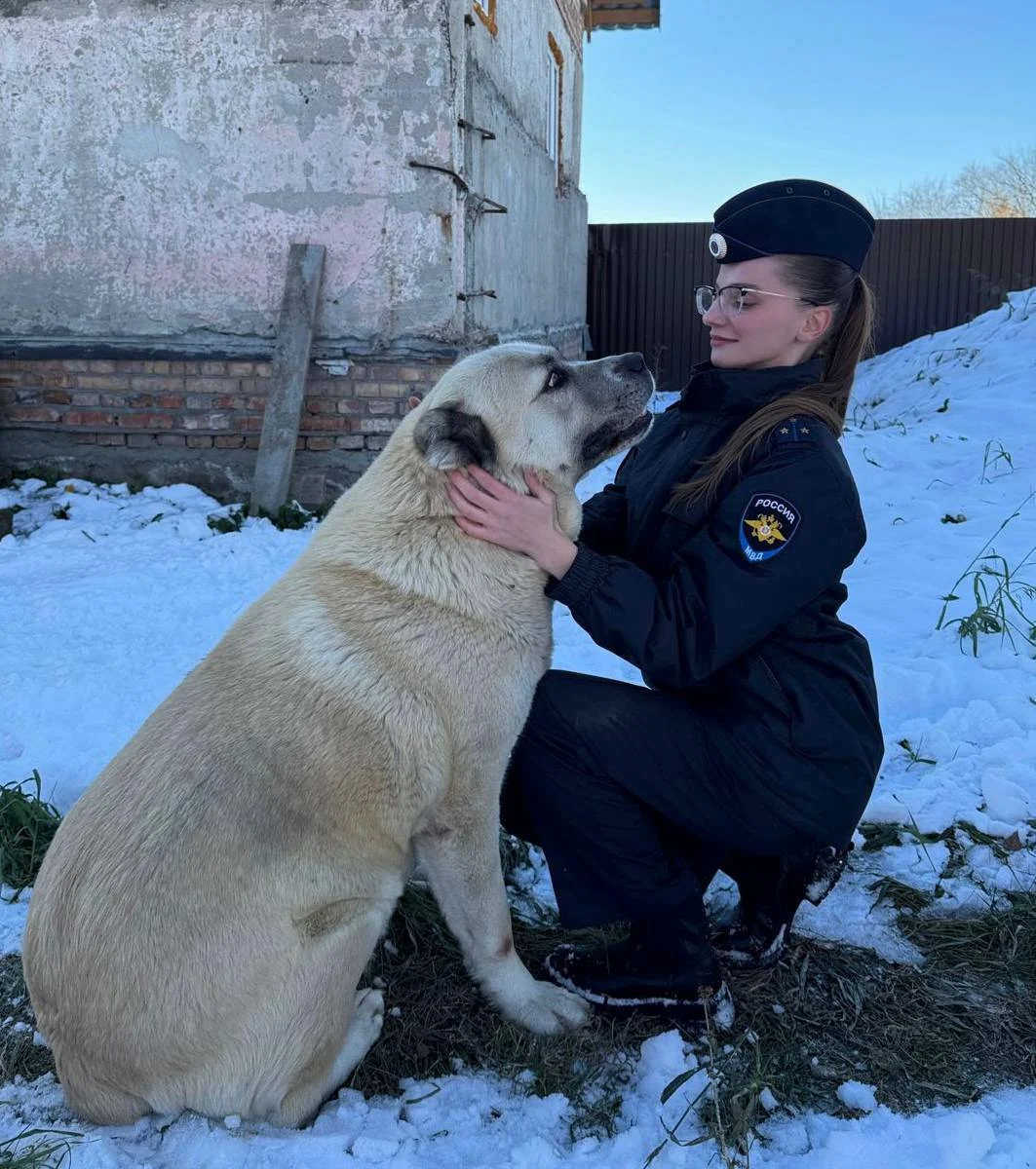 В Омской области односельчане украли у местной жительницы щенка алабая