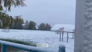 В Омской области выпал первый снег