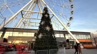 В Омске поставили первую новогоднюю ёлку