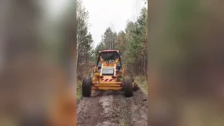 В Омске леса активно готовят к пожароопасному сезону