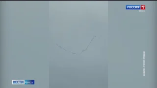 Птицы улетают из Омска на юг
