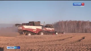 Во всех районах Омской области возобновилась уборочная кампания