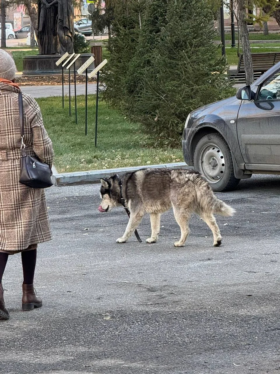 В Омске возле Концертного зала потерялась собака