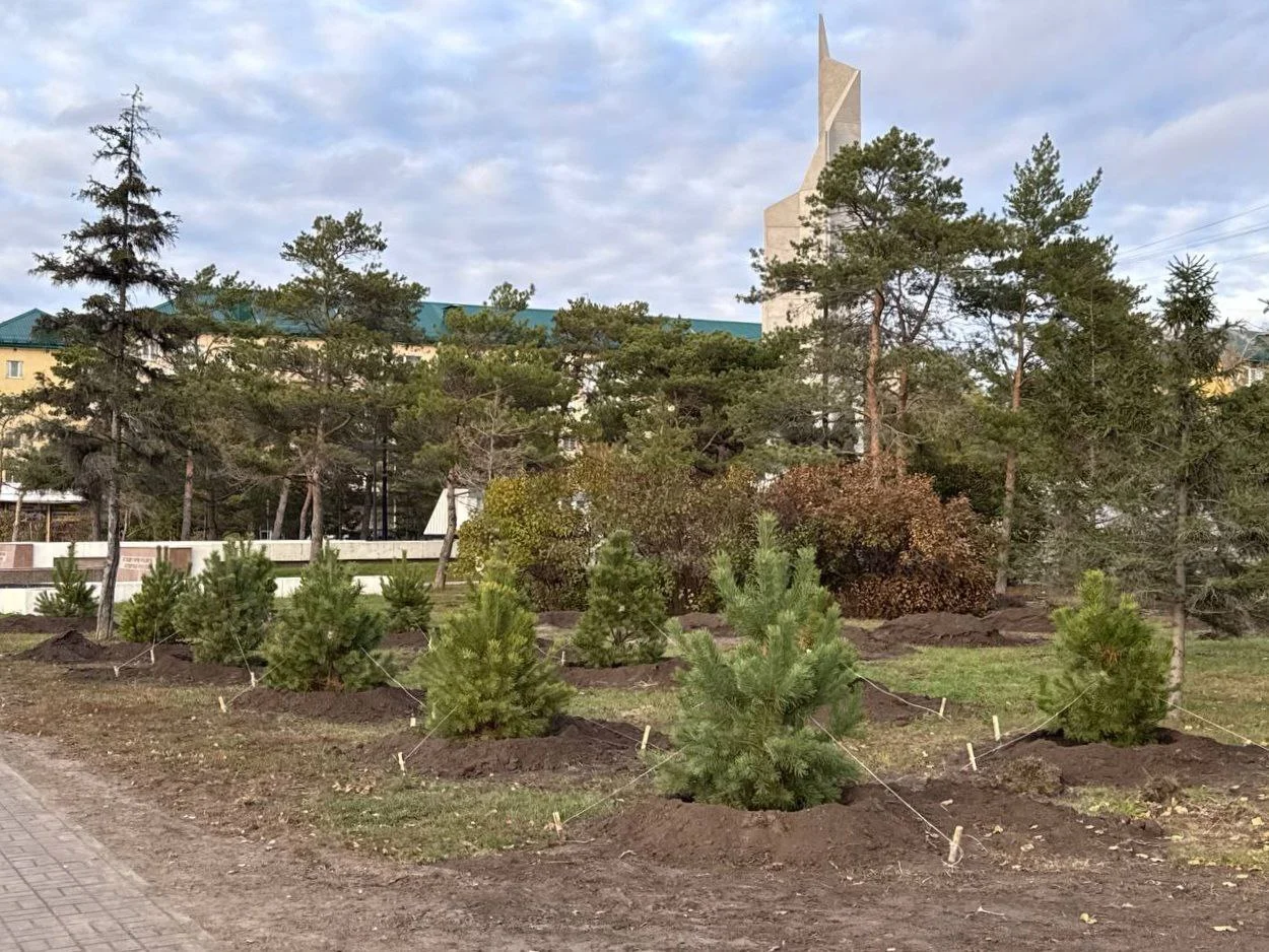 В Омске продолжаются осенние посадки деревьев
