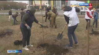 В Омске из-за непогоды отменился общегородской субботник