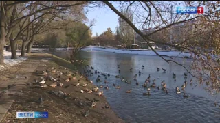 В Омск возвращается теплая погода