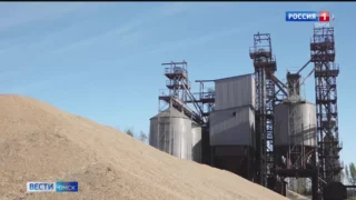 В Омской области завершается уборочная кампания