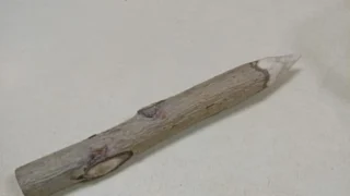 Омичка «на удачу» принесла с собой в суд осиновый кол