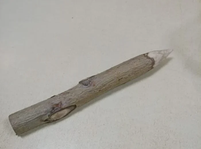 Омичка «на удачу» принесла с собой в суд осиновый кол