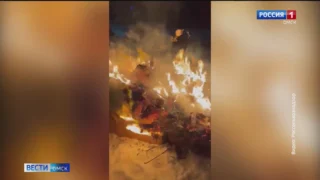 На границе с Омской областью задержали табачную белокрылку