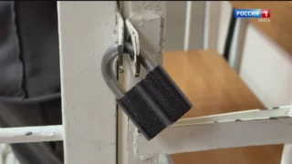 «Дежурная часть», выпуск от 29 ноября 2025 года