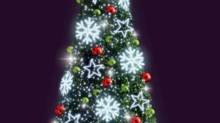 В Омске у входа в парк 30-летия ВЛКСМ установят новогоднюю ель