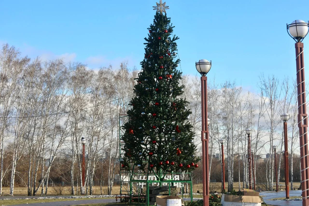 В Омске в природном парке «Птичья гавань» устанавливают новогодние декорации