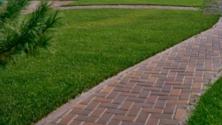 В Омске начали готовиться к следующему сезону озеленения