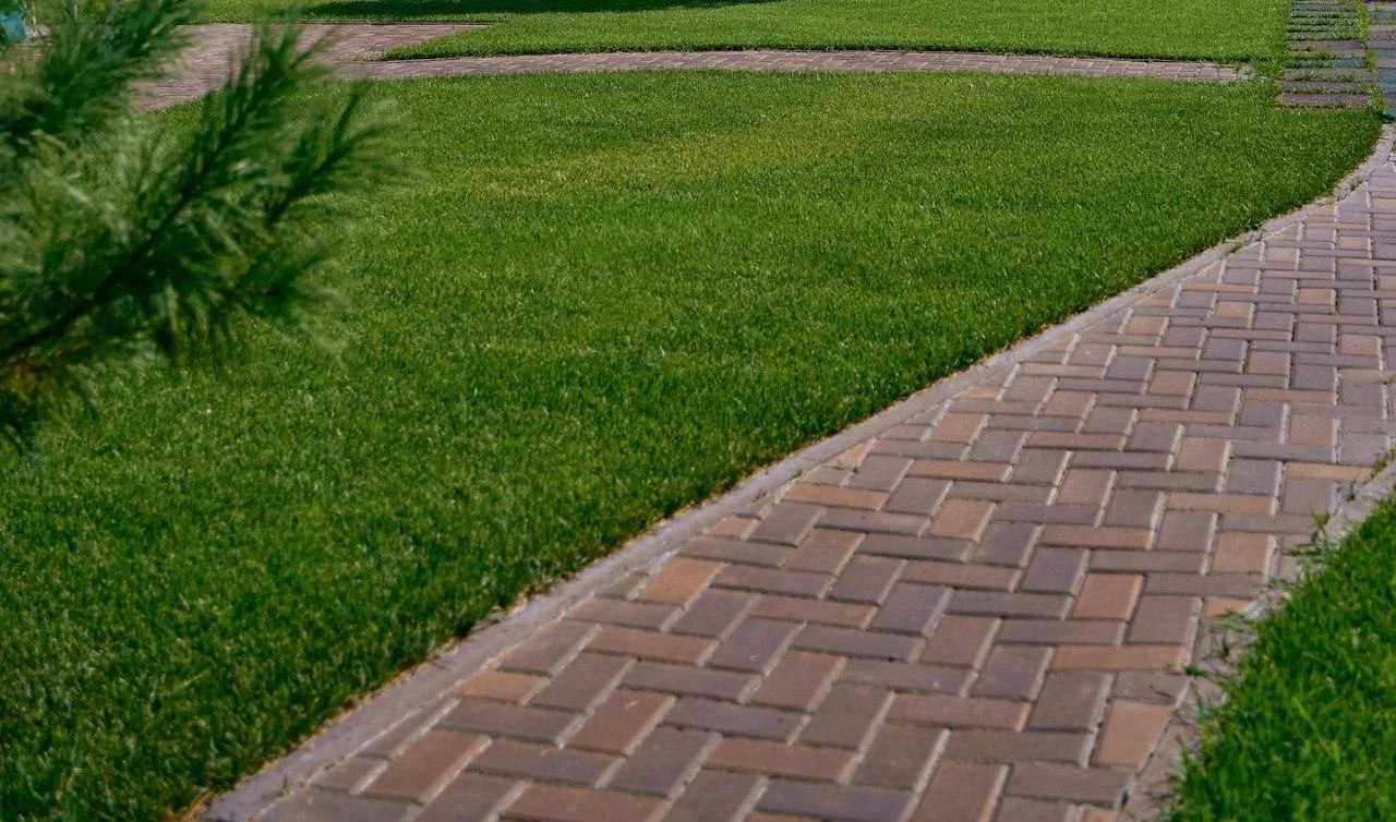 В Омске начали готовиться к следующему сезону озеленения