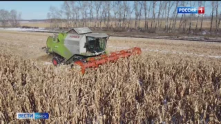 Уборочная кампания в Омской области поставлена на паузу до весны