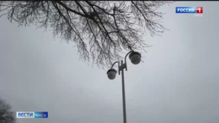 Совсем не по-сибирски теплый ноябрь вносит коррективы в жизнь омичей