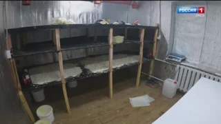 В Омске зафиксировано более 300 преступлений по распространению синтетических наркотиков