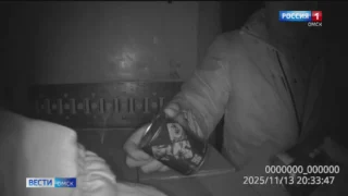 В Омск не пустили большую партию мяса