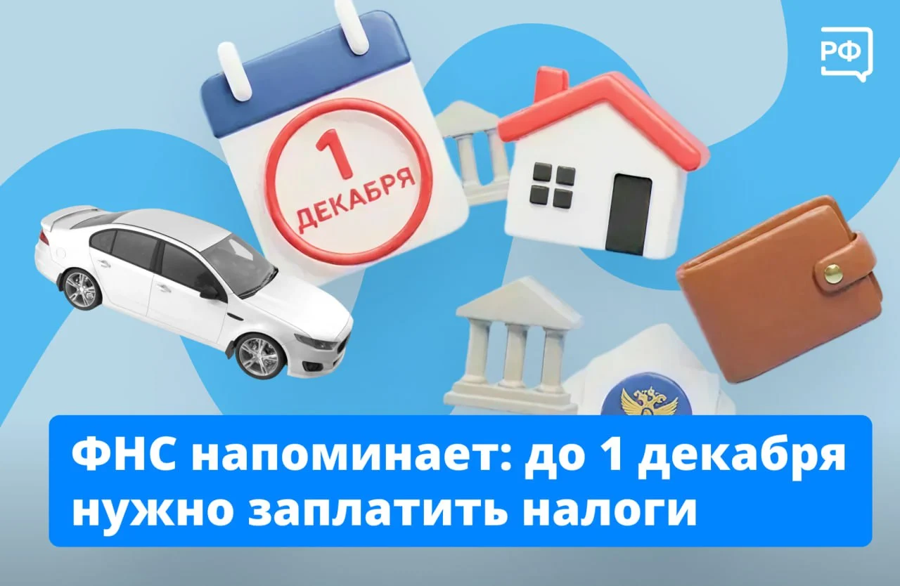 В этом году налоги омичам нужно уплатить до 1 декабря