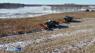Губернатор Омской области ответил на вопросы жителей региона