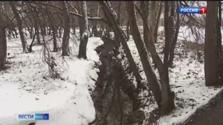 Подозрительное явление заметили неравнодушные омичи в Птичьей гавани